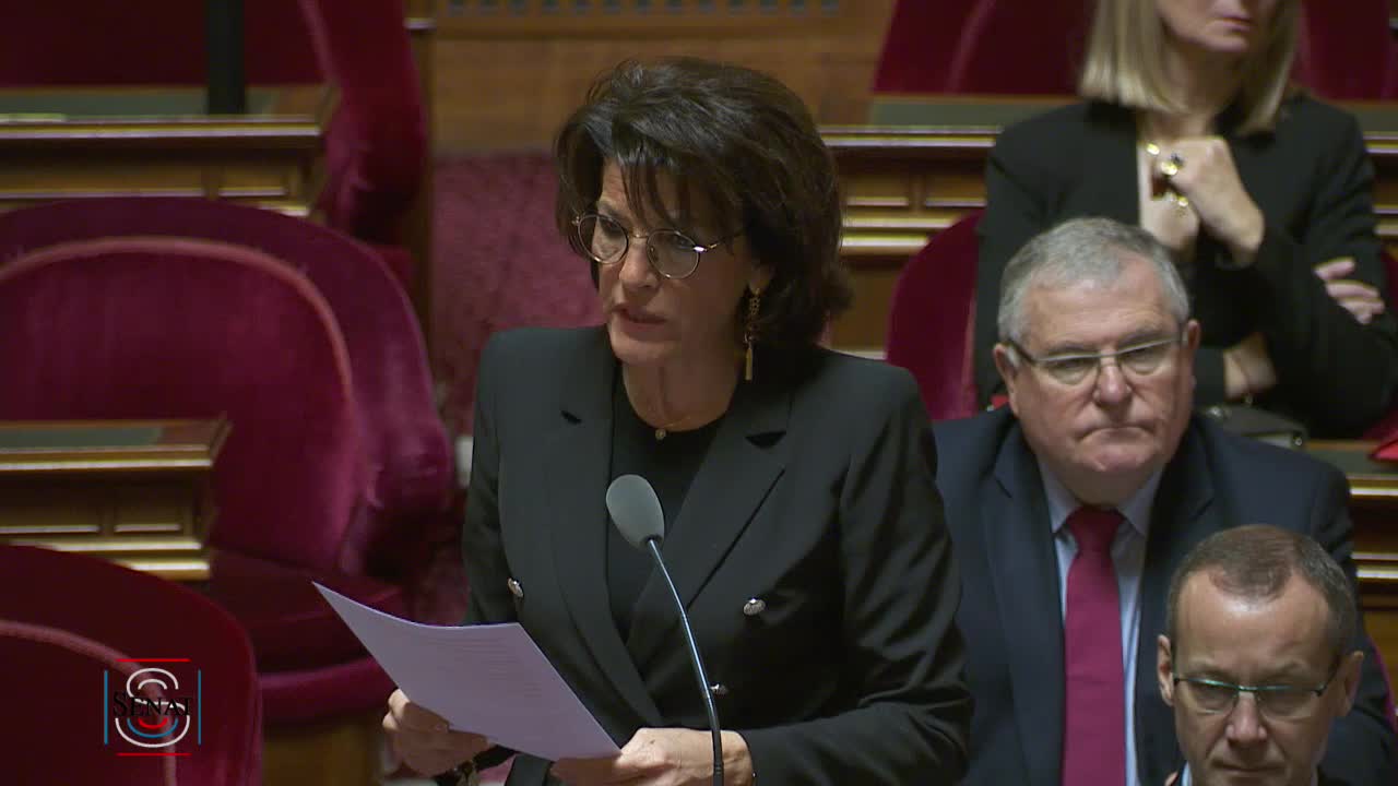 Séance publique du 22 janvier 2019 (matin)