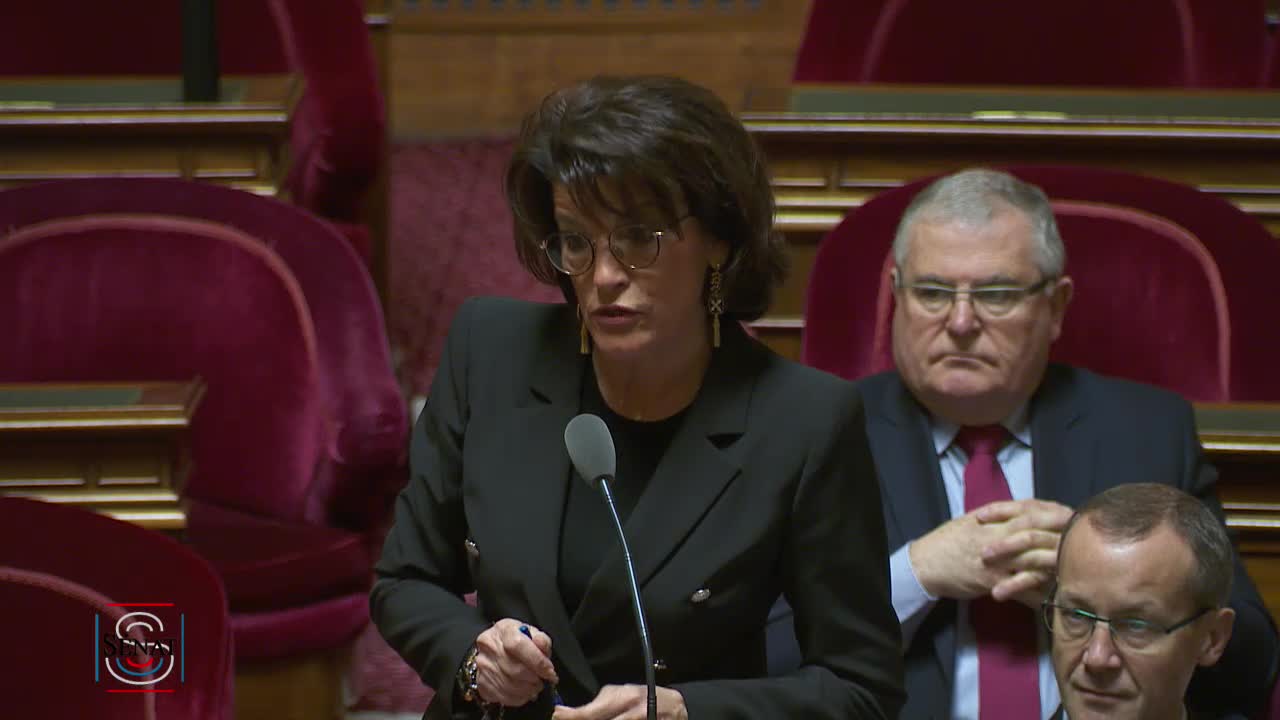 Séance publique du 22 janvier 2019 (matin)