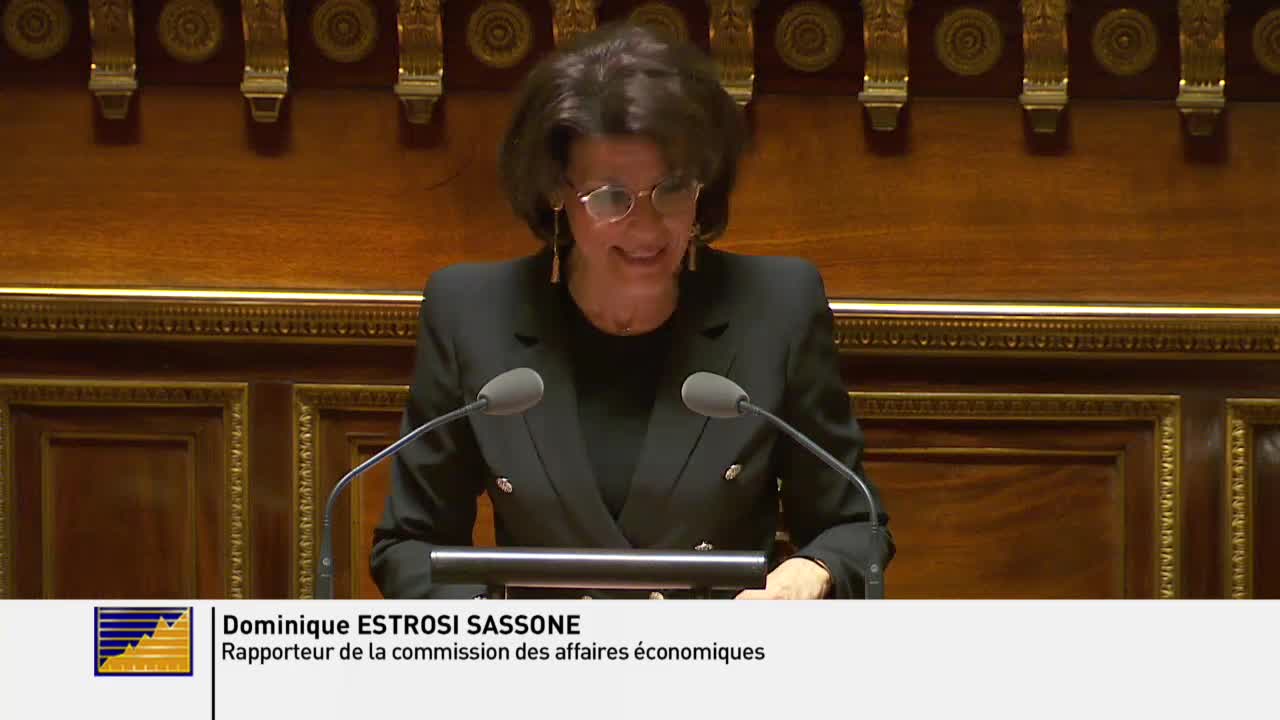 Séance publique du 22 janvier 2019 (soir)