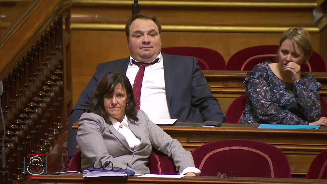 Séance publique du 22 janvier 2019 (soir)